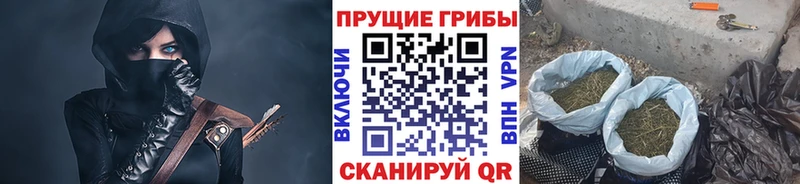 Псилоцибиновые грибы Cubensis  Иркутск 