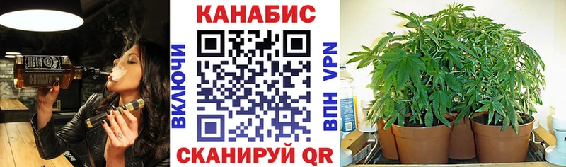 Канабис планчик  маркетплейс как зайти  Иркутск  магазин продажи  